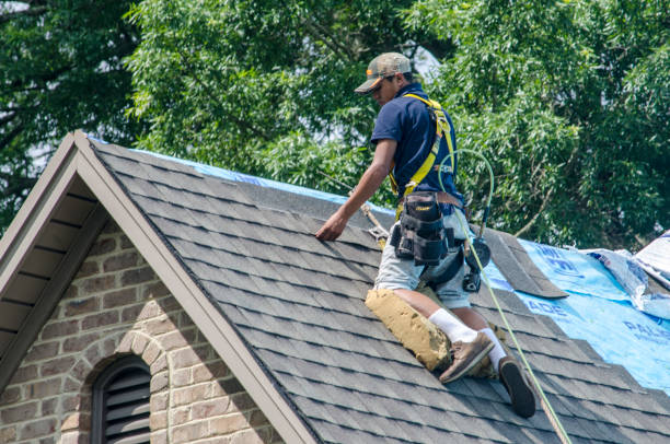 Roof Installation Near Me in Cottage Grove, MN
